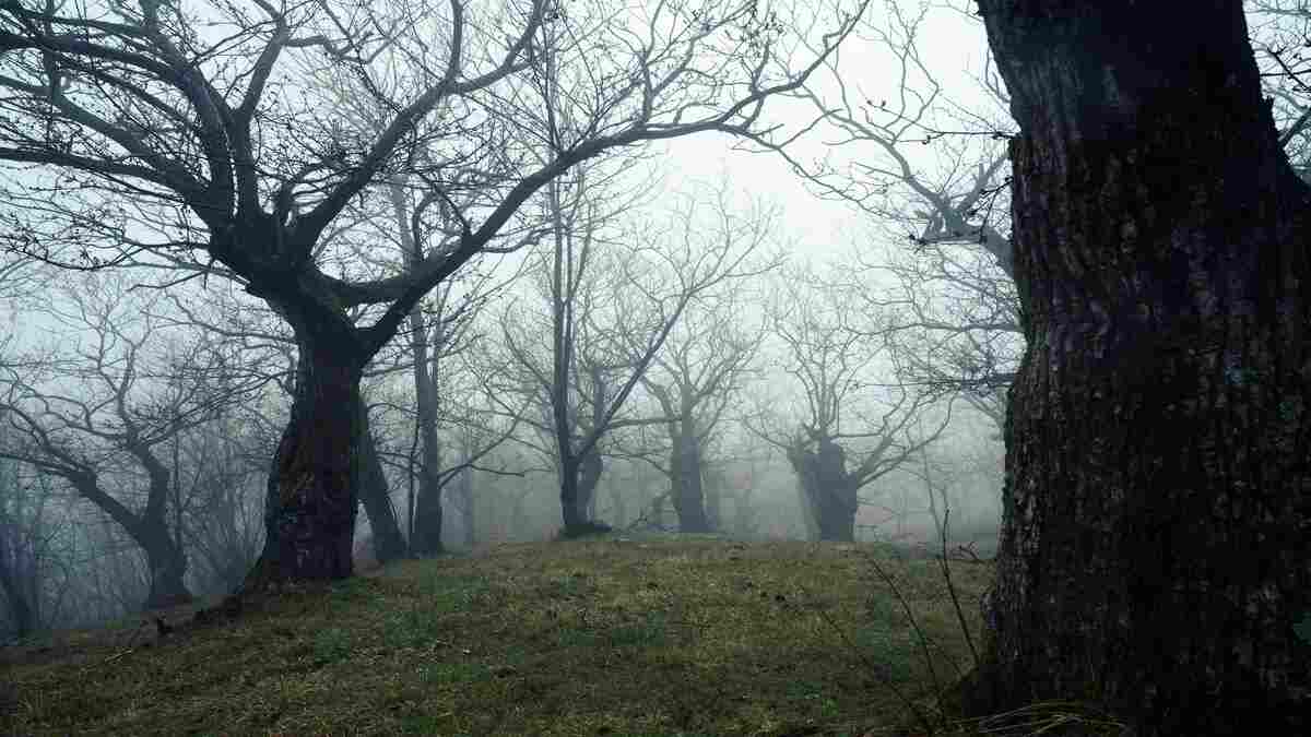 Hoia-Baciu