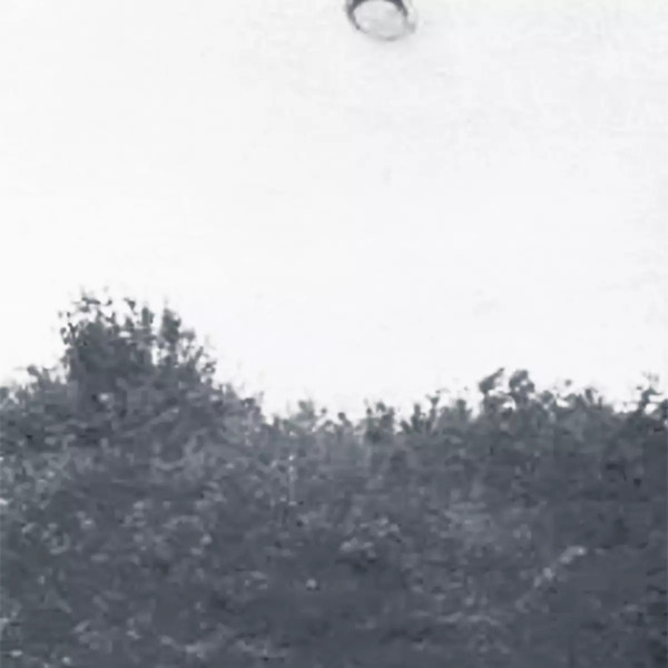 Sunetele inexplicabile din pădure